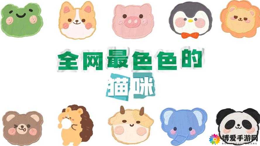 色色猫下载：一款提供丰富资源的应用软件