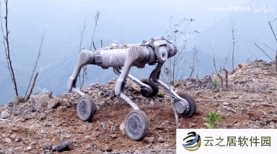 本站