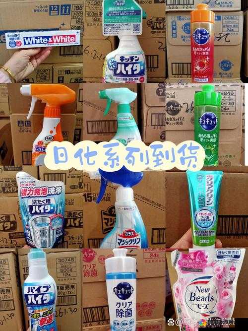 日本有一道网站在线观看：探索日化的窗口