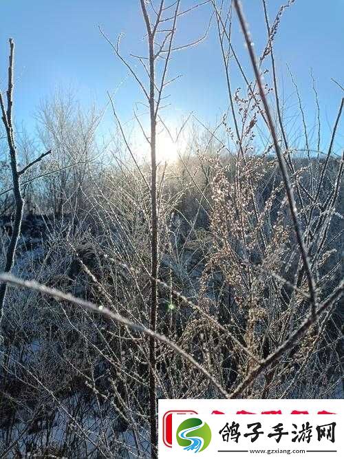 雪居之地雪猛猛抓位究竟如何-未来三种玩法革命预测引悬念