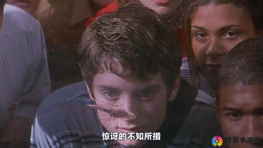 8848 高清电影电视剧：呈现精彩绝伦的视听盛宴