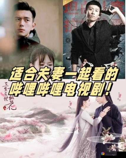适合夫妻一起看的哔哩哔哩电视剧：共赏甜蜜时光