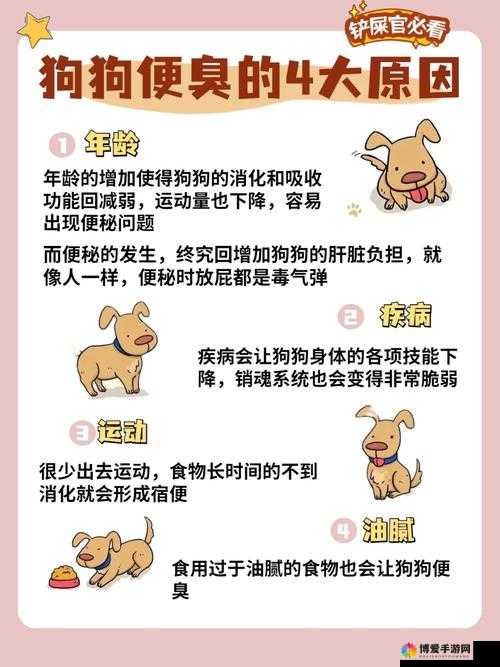 狗狗的东西又硬又烫又臭怎么办：解决这棘手难题的有效方法