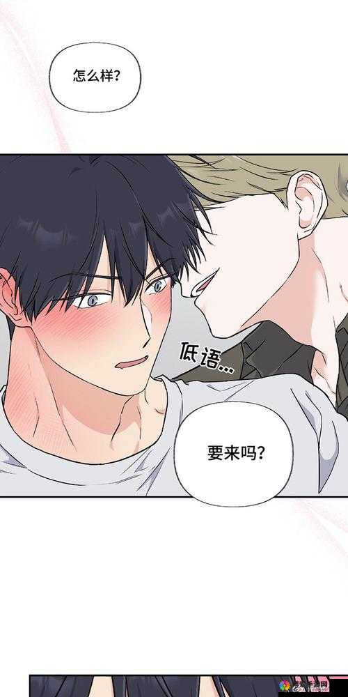 羞羞涩漫：那充满浪漫与青涩的奇妙世界