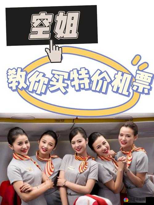 法国空姐 2024 年几月播出：探寻其背后的神秘日程安排