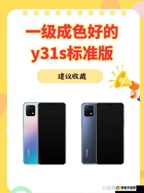 一级成色好的 y31s 标准版评测搬运网站新篇章：开启精彩新征程