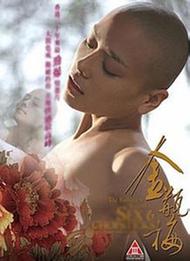 金花瓶楷梅花2正片-网友：一场视觉与心灵的双重盛宴