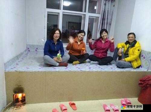 东北大坑乱 1—50：关于其的详细分析与探讨