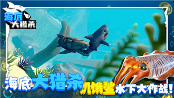 《狂野之心》角色名称更改全攻略