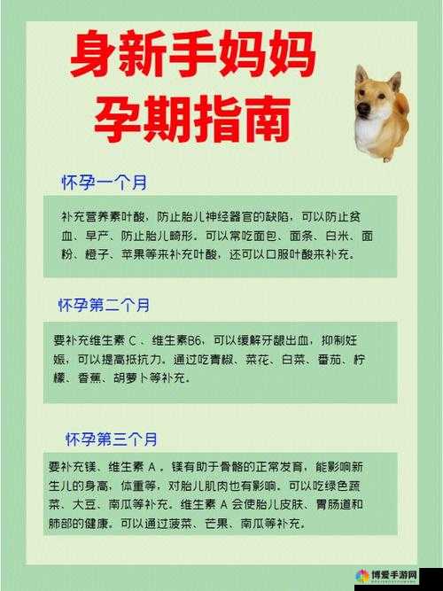 与妈妈一起隔离怀孕进展攻略：新手妈妈的必备指南