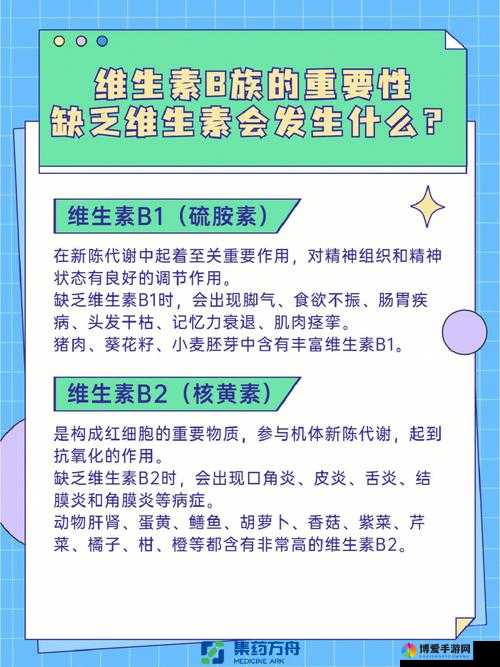 B 和 B 为什么不一样：深入探究其差异的根源及影响因素