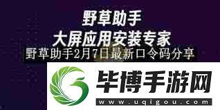 野草助手最新口令码2月7日分享-野草助手2月7日口令码更新分享 
