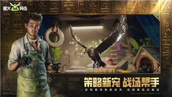 《宝可梦大集结》：解锁水晶灯火灵，尽享皮肤与徽章魅力！