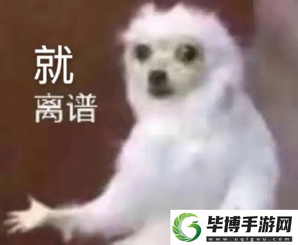D加密—游戏界最坚固的盾