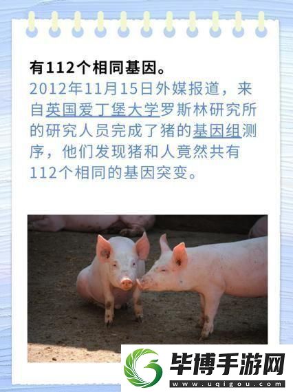 基因狂欢：猪之韵-人之谜 