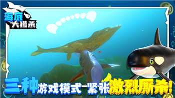 《爆裂小队》4星角色解析：打造高效战斗阵容
