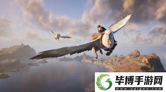 霍格沃茨之遗补丁