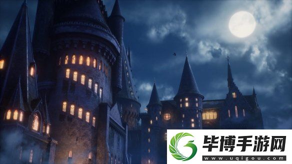 霍格沃茨之遗补丁