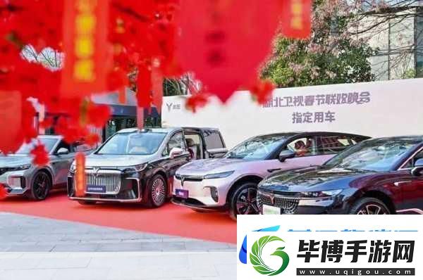 岚图春晚共贺岁
