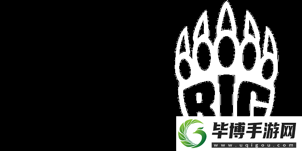 IEM卡托维兹