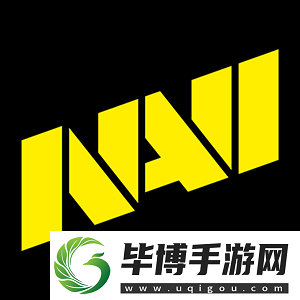 IEM卡托维兹