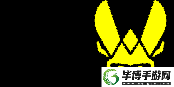 IEM卡托维兹